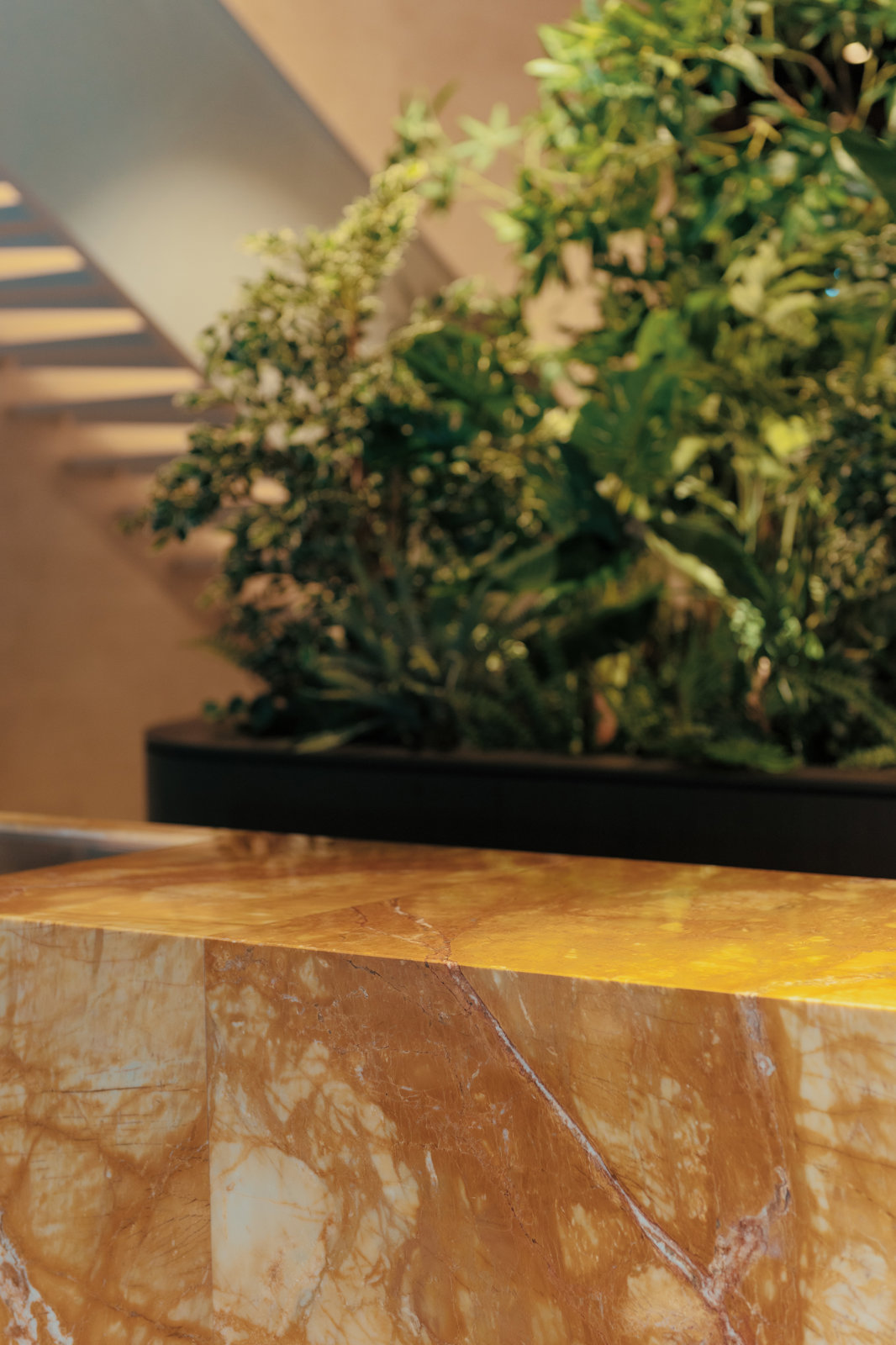 RELEASE ©WVP 27 (1)